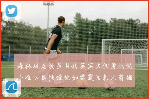 森林狼后场虽具精英实力但身材偏小难以抵挡强敌如雷霆马刺火箭掘金