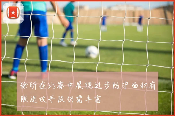 徐昕在比赛中展现进步防守面积有限进攻手段仍需丰富